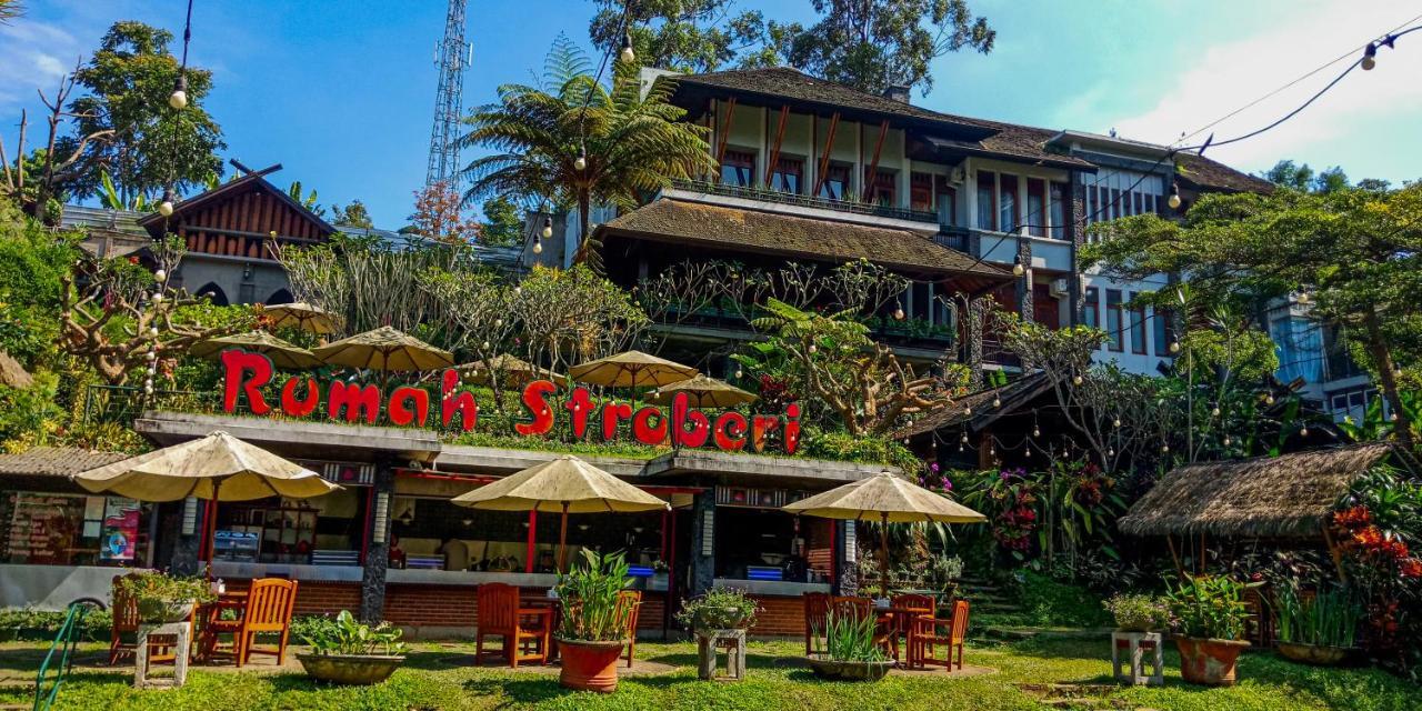 Rumah Stroberi Organic Farm & Family Lodge Lembang Exterior foto